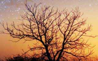 🏆 意外： 某小球队在杯赛中淘汰了超级豪门，他们的“战术玄机”竟是模仿了对手的弱点！