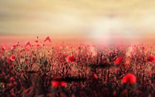 穆里尼奥的反向操作 他把替补席都调动起来，简直离谱