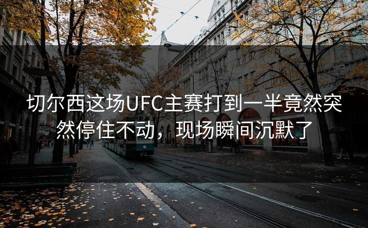 切尔西这场UFC主赛打到一半竟然突然停住不动，现场瞬间沉默了