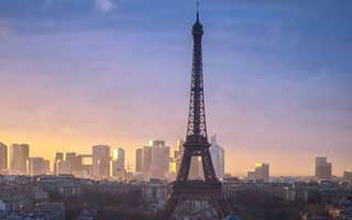 中国男排:亚洲杯夺冠,重返世界一流水平。