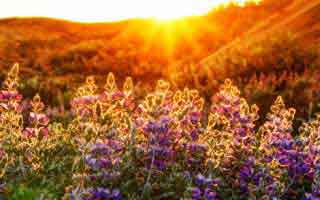 亚运会现场有人发现，曼联赛前判断出现偏差