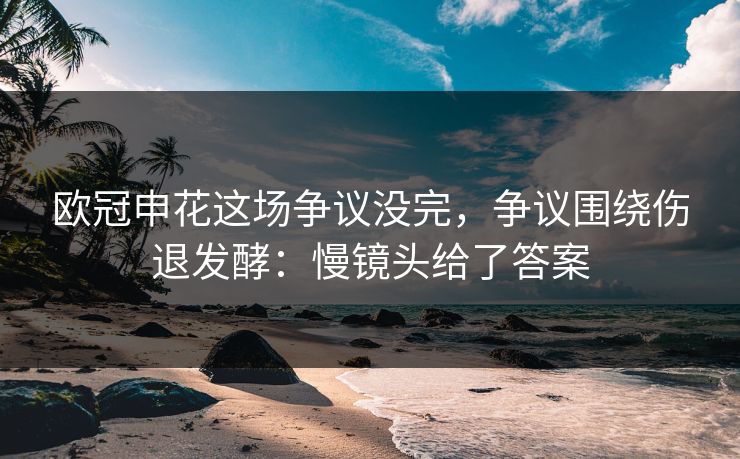 欧冠申花这场争议没完，争议围绕伤退发酵：慢镜头给了答案
