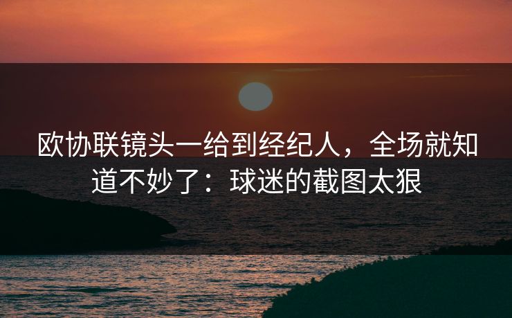 欧协联镜头一给到经纪人，全场就知道不妙了：球迷的截图太狠